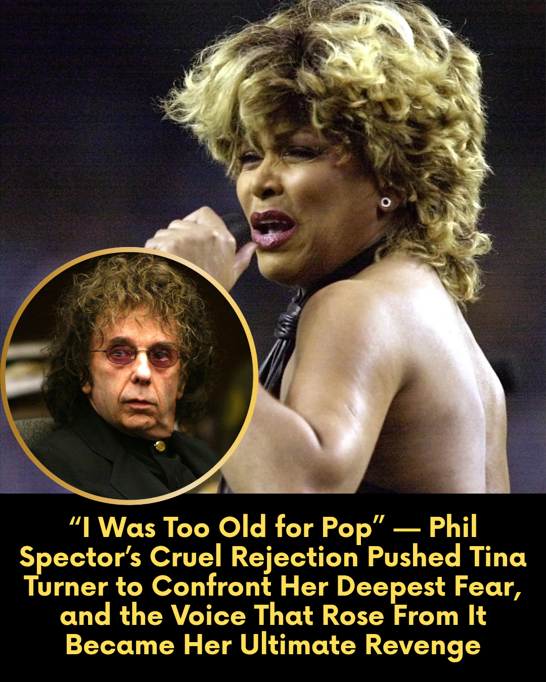 “I Was Too Old for Pop” — Phil Spector’s Cruel Rejection Pushed Tina Turner to Confront Her Deepest Fear, and the Voice That Rose From It Became Her Ultimate Revenge