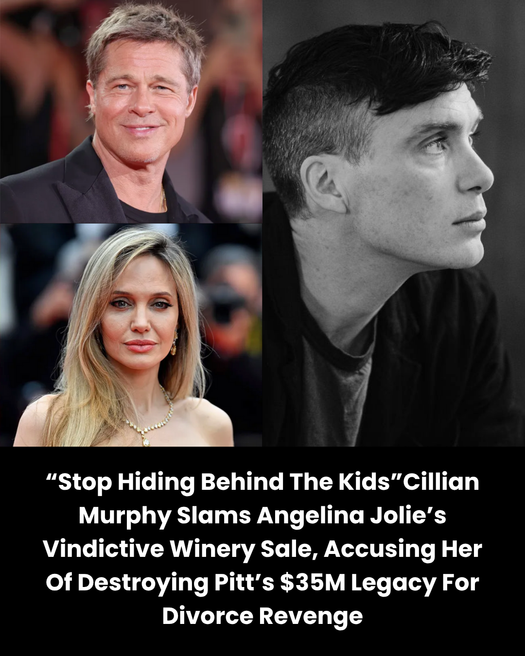 “Stop Hiding Behind The Kids”Cillian Murphy Slams Angelina Jolie’s Vindictive Winery Sale, Accusing Her Of Destroying Pitt’s $35M Legacy For Divorce Revenge