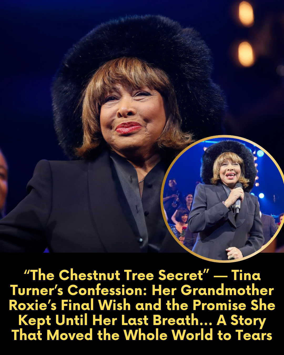 “The Chestnut Tree Secret” — Tina Turner’s Confession: Her Grandmother Roxie’s Final Wish and the Promise She Kept Until Her Last Breath… A Story That Moved the Whole World to Tears