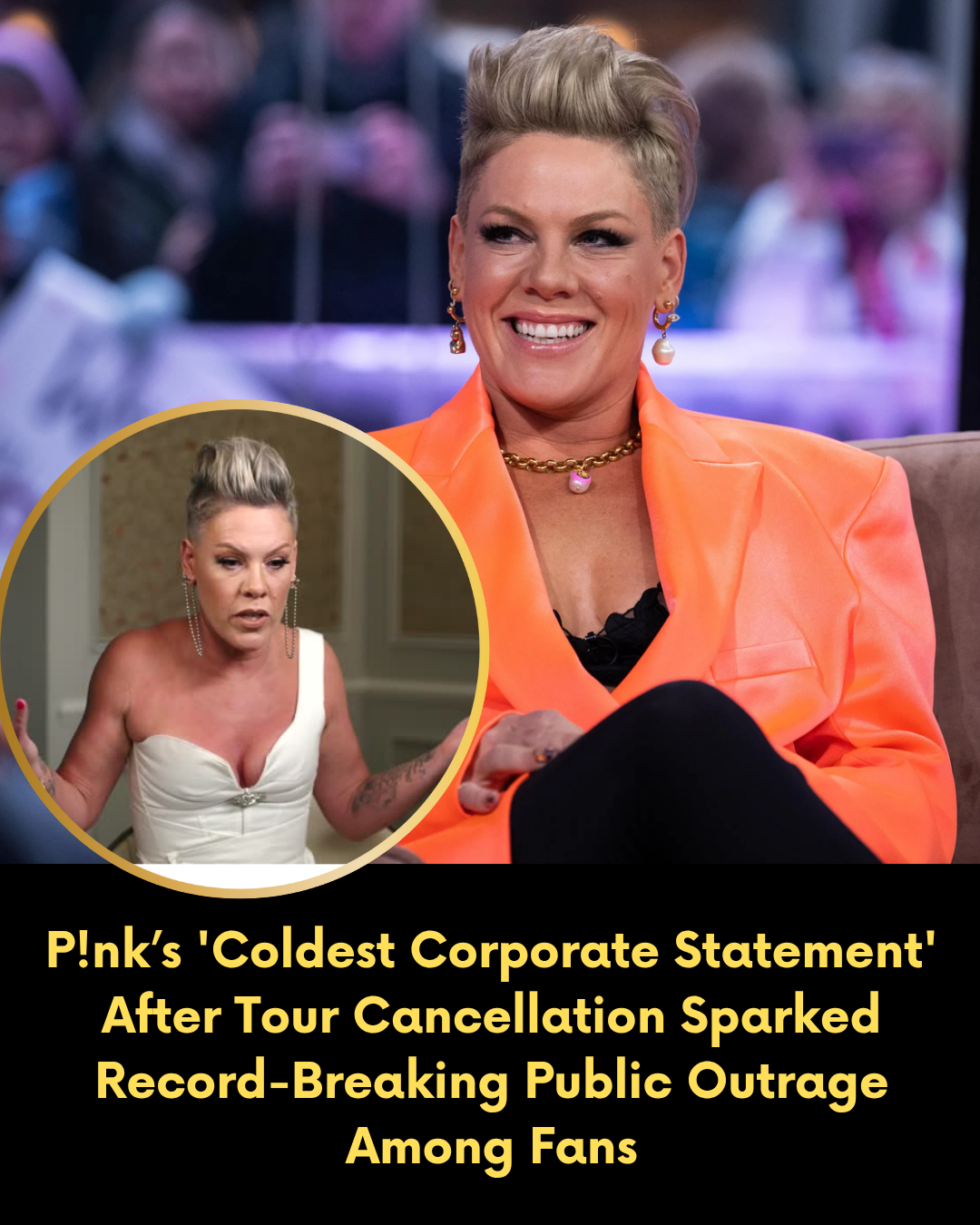 P!nk’s ‘Coldest Corporate Statement’ After Tour Cancellation Sparked Record-Breaking Public Outrage Among Fans