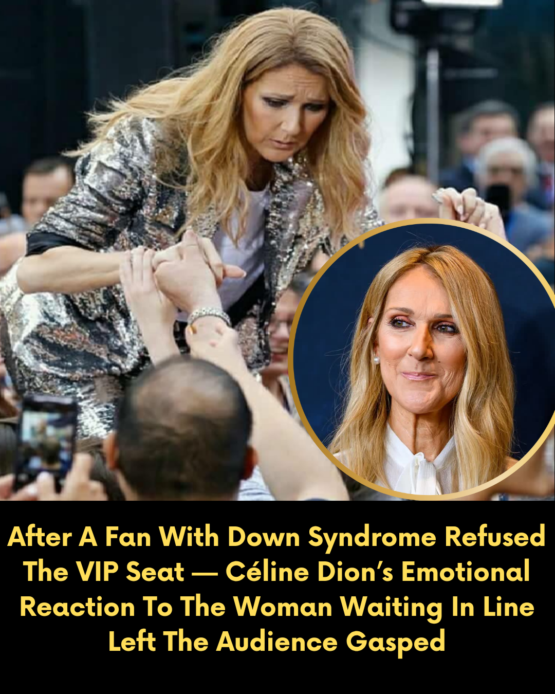 After A Fan With Down Syndrome Refused The VIP Seat — Céline Dion’s Emotional Reaction To The Woman Waiting In Line Left The Audience Gasped