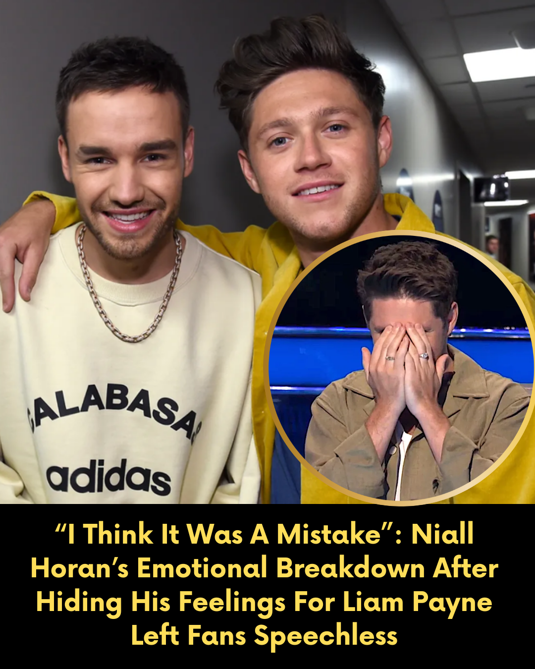 “I Think It Was A Mistake”: Niall Horan’s Emotional Breakdown After Hiding His Feelings For Liam Payne Left Fans Speechless