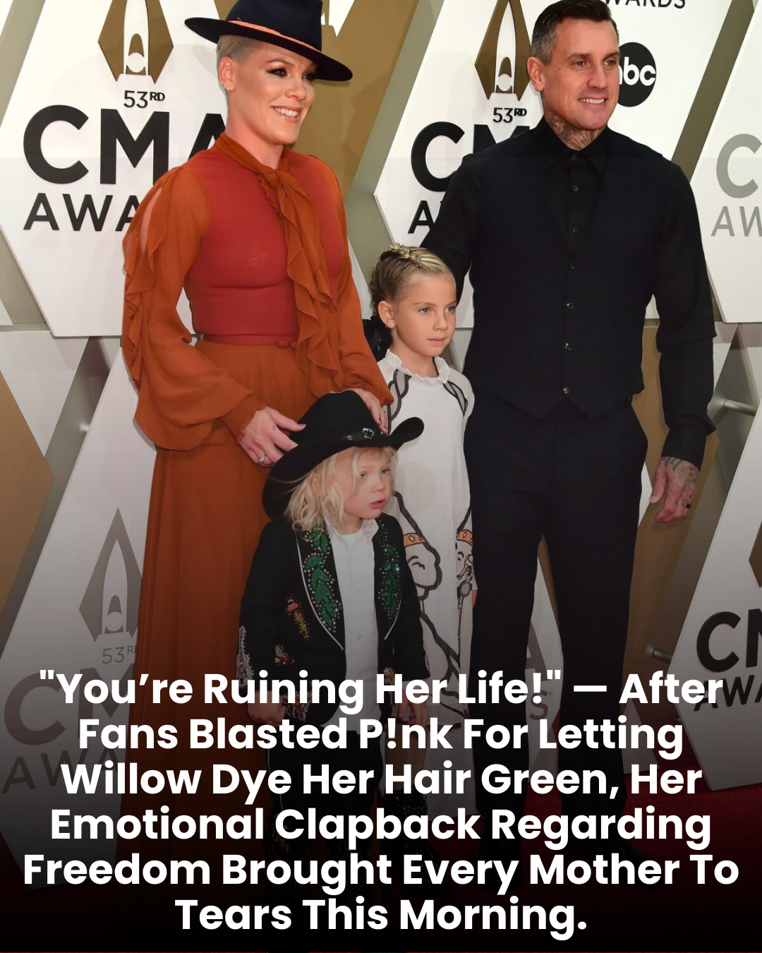 “You’re Ruining Her Life!” — After Fans Blasted P!nk For Letting Willow Dye Her Hair Green, Her Emotional Clapback Regarding Freedom Brought Every Mother To Tears This Morning.