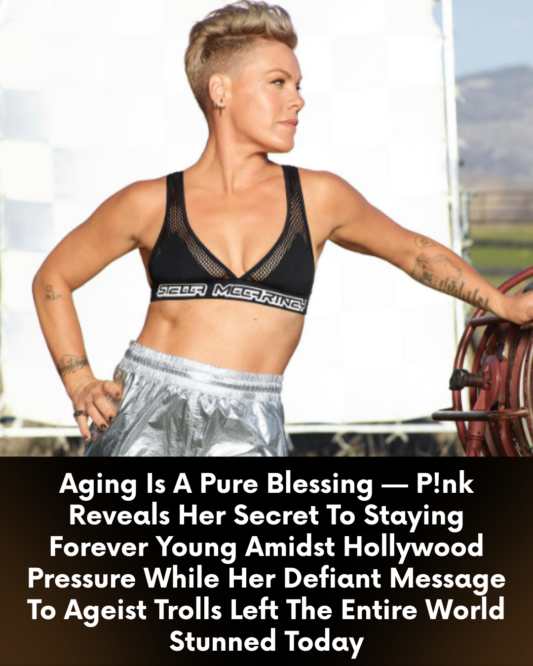 Aging Is A Pure Blessing — P!nk Reveals Her Secret To Staying Forever Young Amidst Hollywood Pressure While Her Defiant Message To Ageist Trolls Left The Entire World Stunned Today