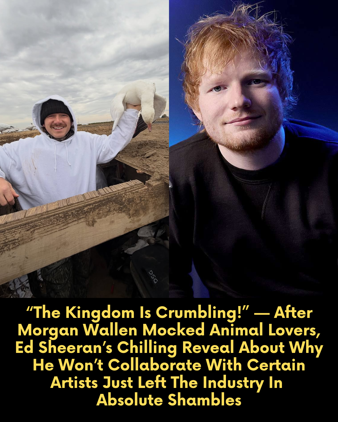 “The Kingdom Is Crumbling!” — After Morgan Wallen Mocked Animal Lovers, Ed Sheeran’s Chilling Reveal About Why He Won’t Collaborate With Certain Artists Just Left The Industry In Absolute Shambles