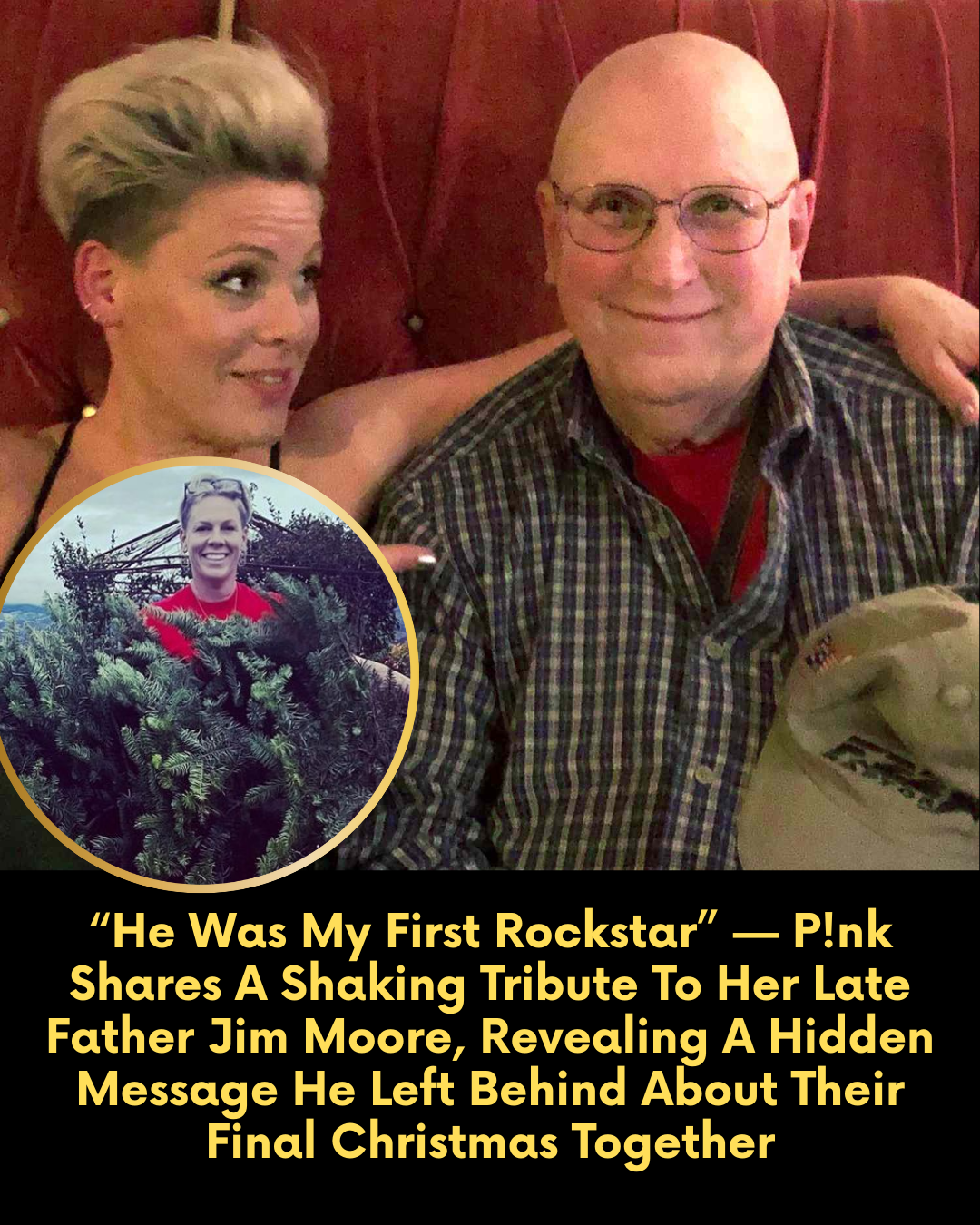 “He Was My First Rockstar” — P!nk Shares A Shaking Tribute To Her Late Father Jim Moore, Revealing A Hidden Message He Left Behind About Their Final Christmas Together