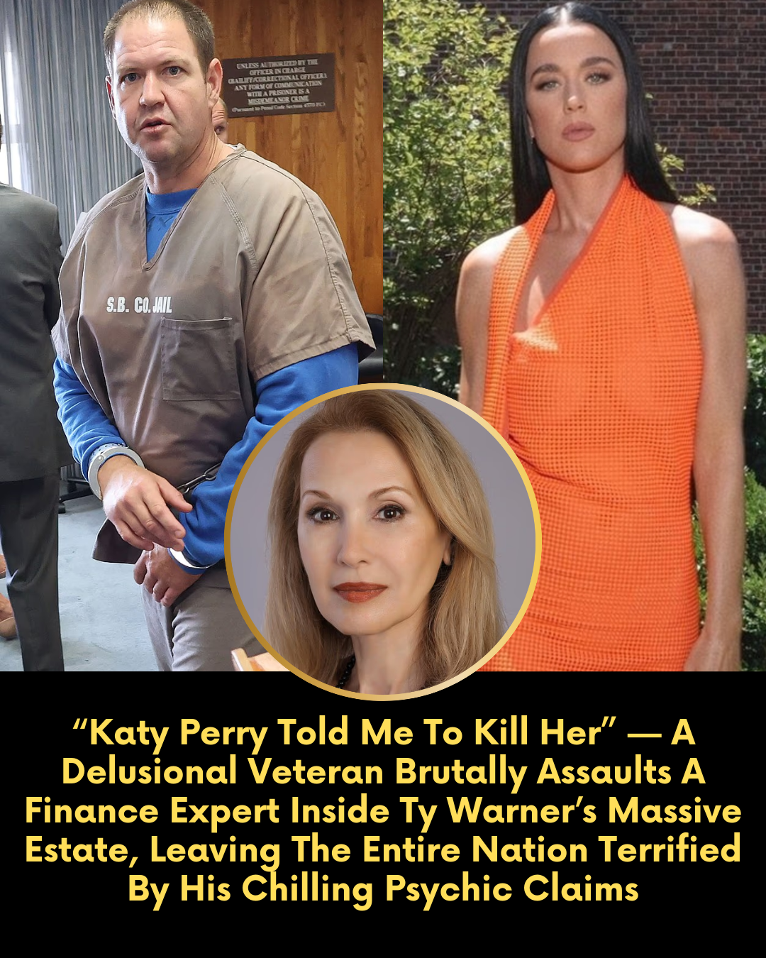 “Katy Perry Told Me To Kill Her” — A Delusional Veteran Brutally Assaults A Finance Expert Inside Ty Warner’s Massive Estate, Leaving The Entire Nation Terrified By His Chilling Psychic Claims