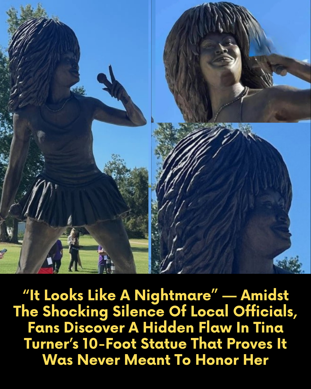 “It Looks Like A Nightmare” — Amidst The Shocking Silence Of Local Officials, Fans Discover A Hidden Flaw In Tina Turner’s 10-Foot Statue That Proves It Was Never Meant To Honor Her