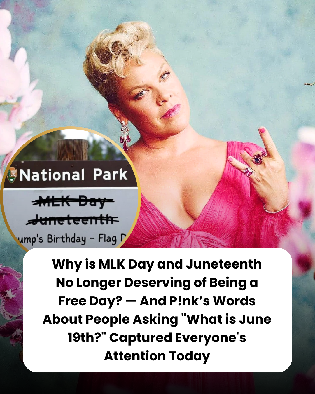 Why is MLK Day and Juneteenth No Longer Deserving of Being a Free Day? — And P!nk’s Words About People Asking “What is June 19th?” Captured Everyone’s Attention Today
